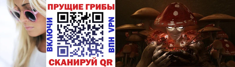 Галлюциногенные грибы мицелий наркотики Пущино